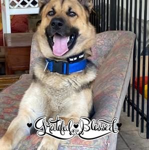 Meet your Posher, Joeline